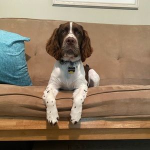 Meet your Posher, Hunter